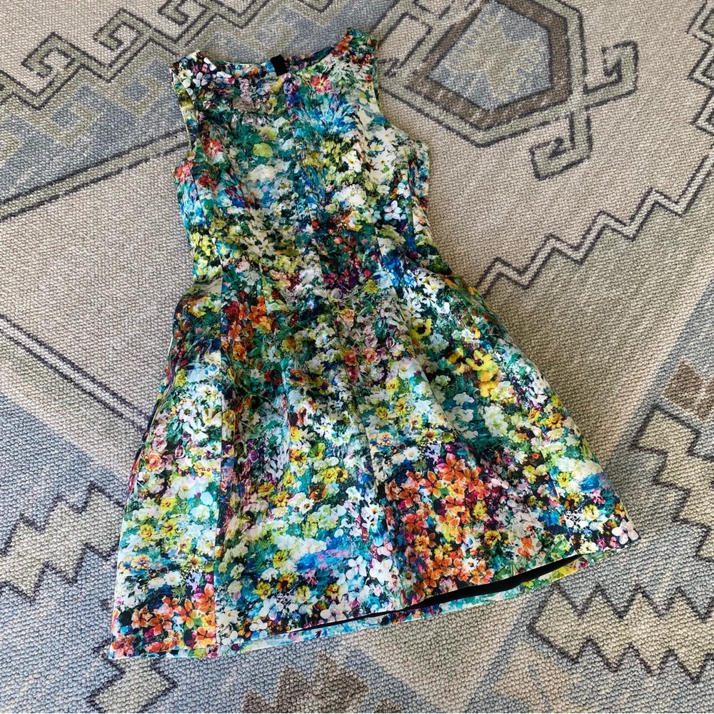 Zara Floral Tulip Dress RARE sz XS